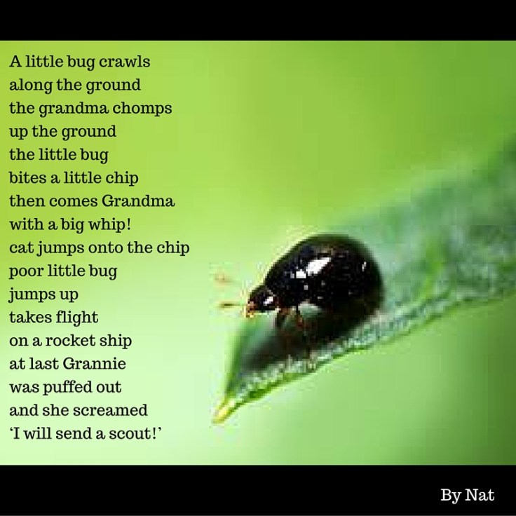 A little bug crawlsAlong the groundThe grandma chompsUp the groundThe little bugBites a little chipThen comes GrandmaWith a big whip!Cat jumps onto the chipPoor little bug Jumps upTakes flightOn a rocket shipAt last Gran