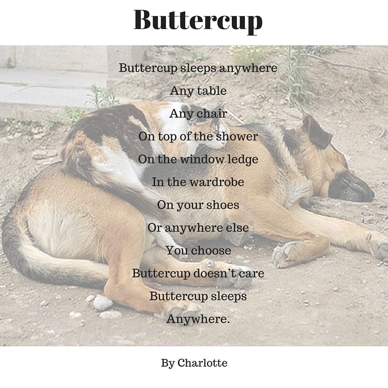 Buttercup
