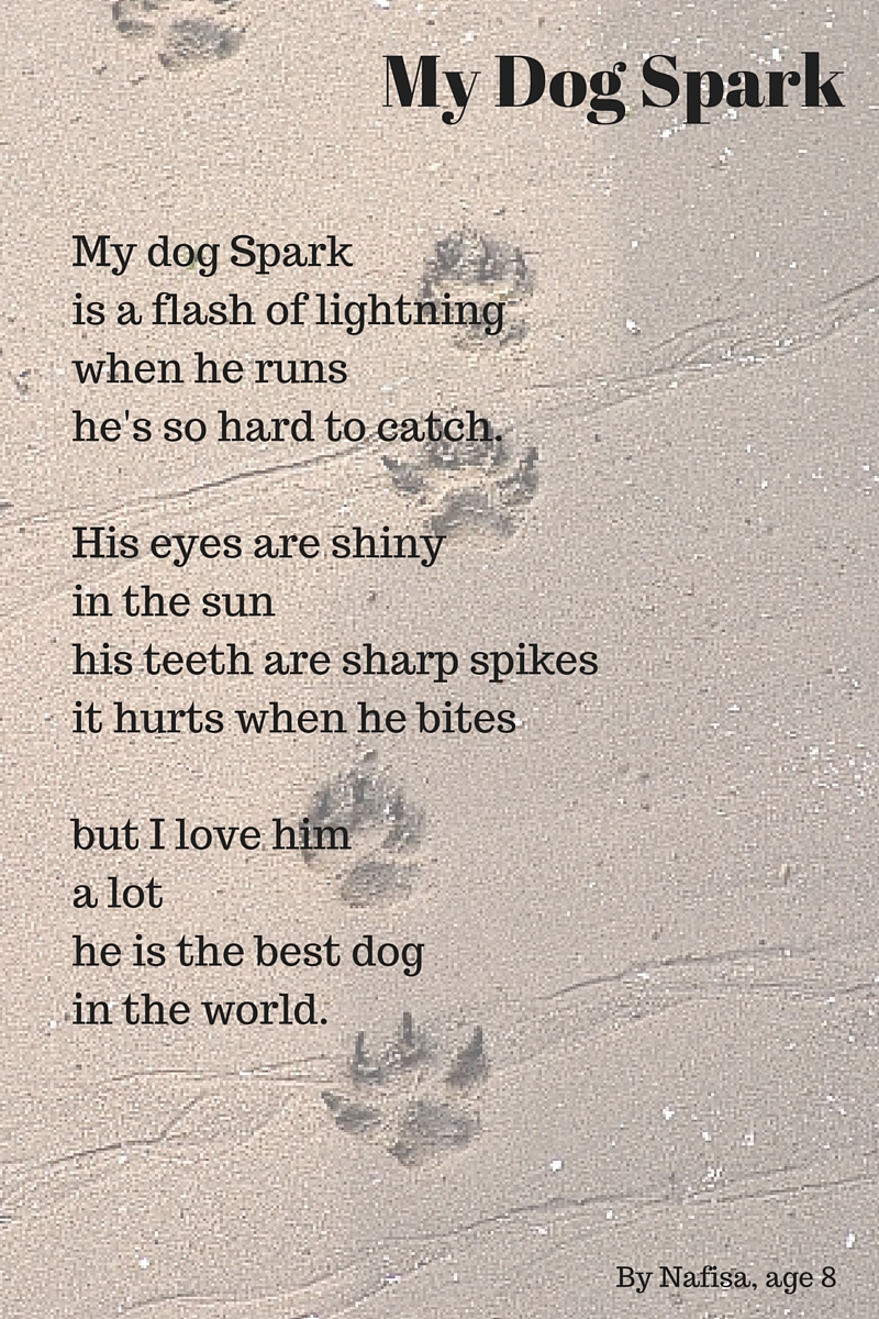 My Dog Spark