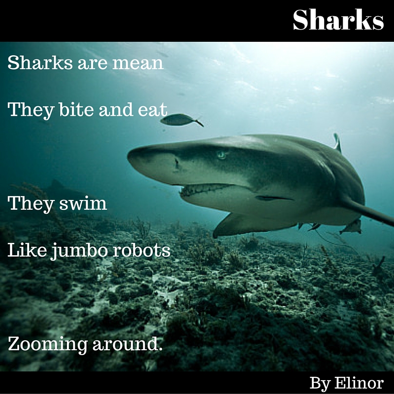 Sharks
