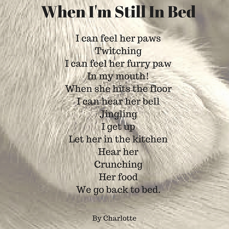 When I'm Still In Bed