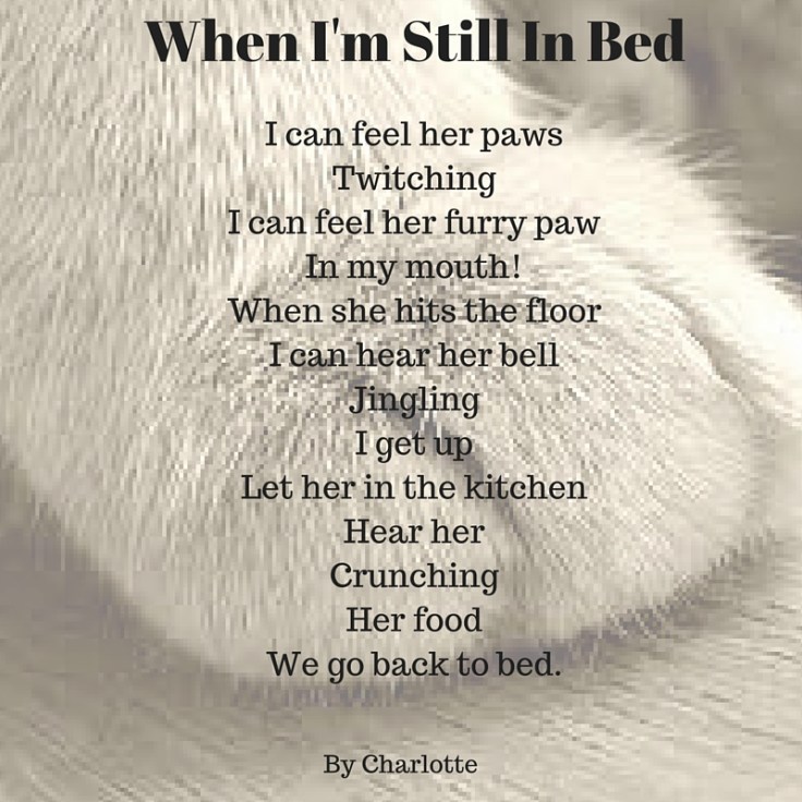 When I'm Still In Bed