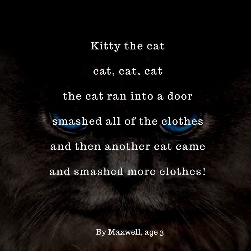 Kitty the catCat, cat, catThe cat ran into a doorsmashed all of the clothesand then another cat cameand smashed more clothes!