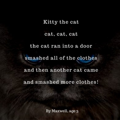 Kitty the catCat, cat, catThe cat ran into a doorsmashed all of the clothesand then another cat cameand smashed more clothes!