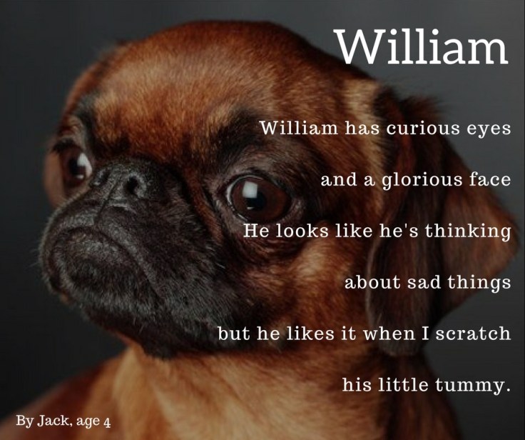 William (1)